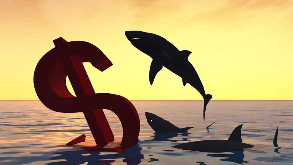 karharies sharks - dollar